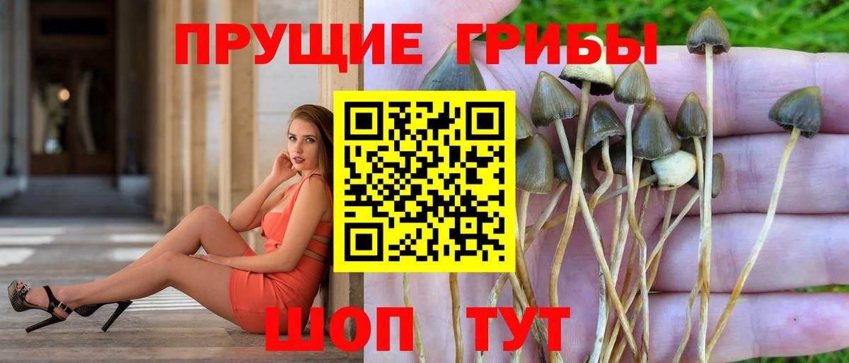 Псилоцибиновые грибы прущие грибы  Вход с VPN  Галлюциногенные грибы MAGIC MUSHROOMS  Норильск 